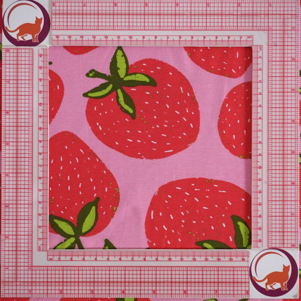 Baumwolljersey Big Erdbeere rosa rot